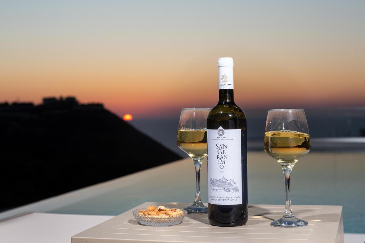 Sky View Suites Kefalonia Vóvikes Екстериор снимка